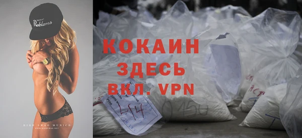 кокс Алексин