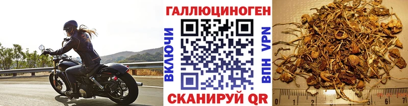 Галлюциногенные грибы Cubensis  Купить  Темников 